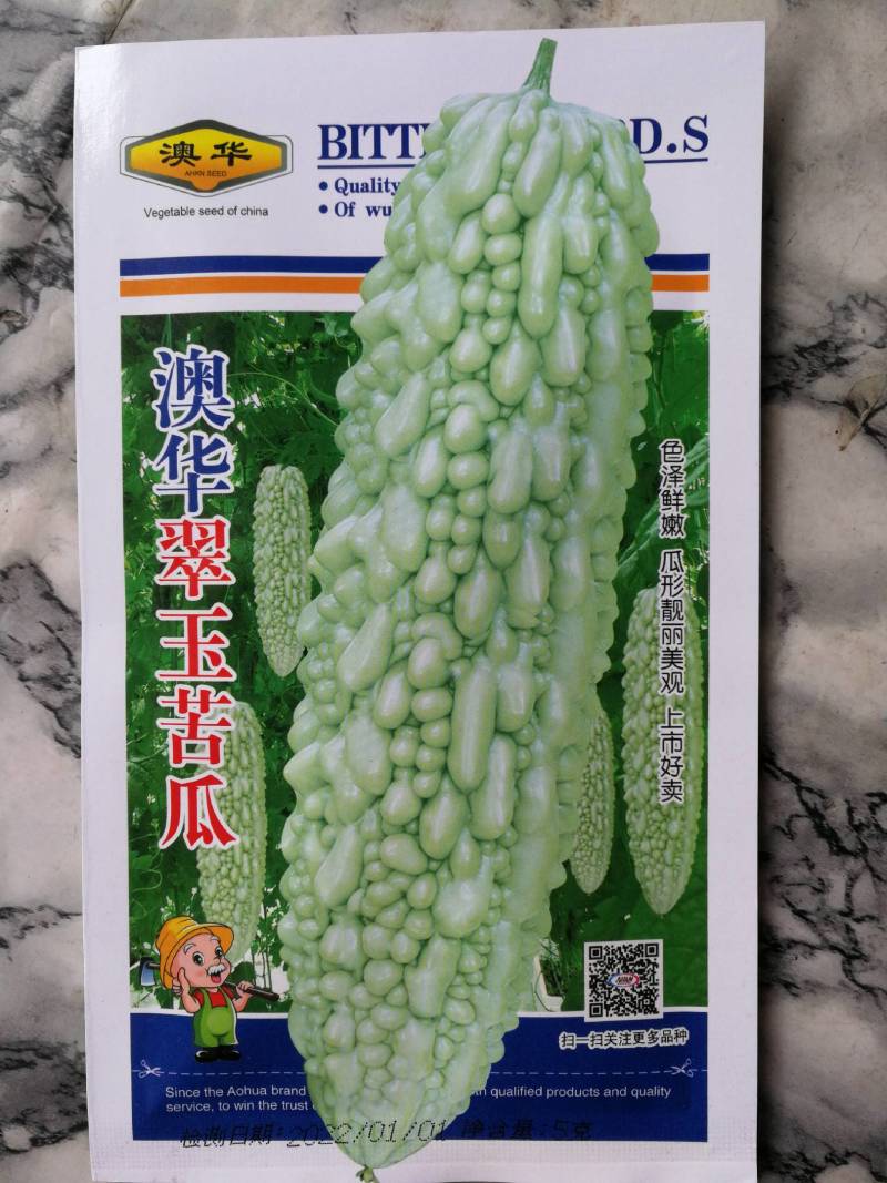 翠玉苦瓜，色泽鲜嫩瓜形靓丽美观上市好卖。