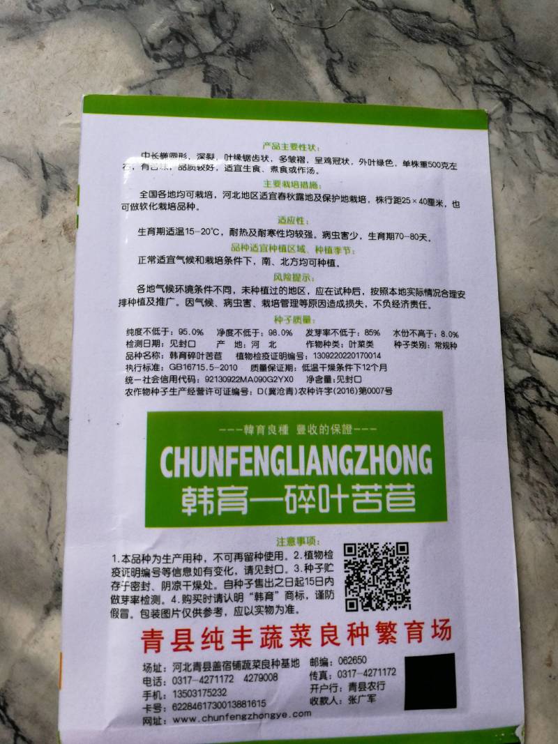 碎叶苦苣种子阳台盆栽蔬菜种明目菜菊苣苦菊庭院野菜易
