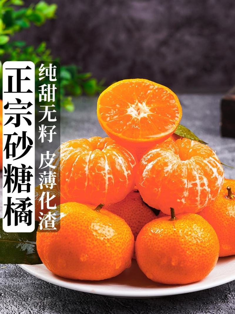 广西阳朔精品砂糖橘柑桔产地直发货量充足量大从优