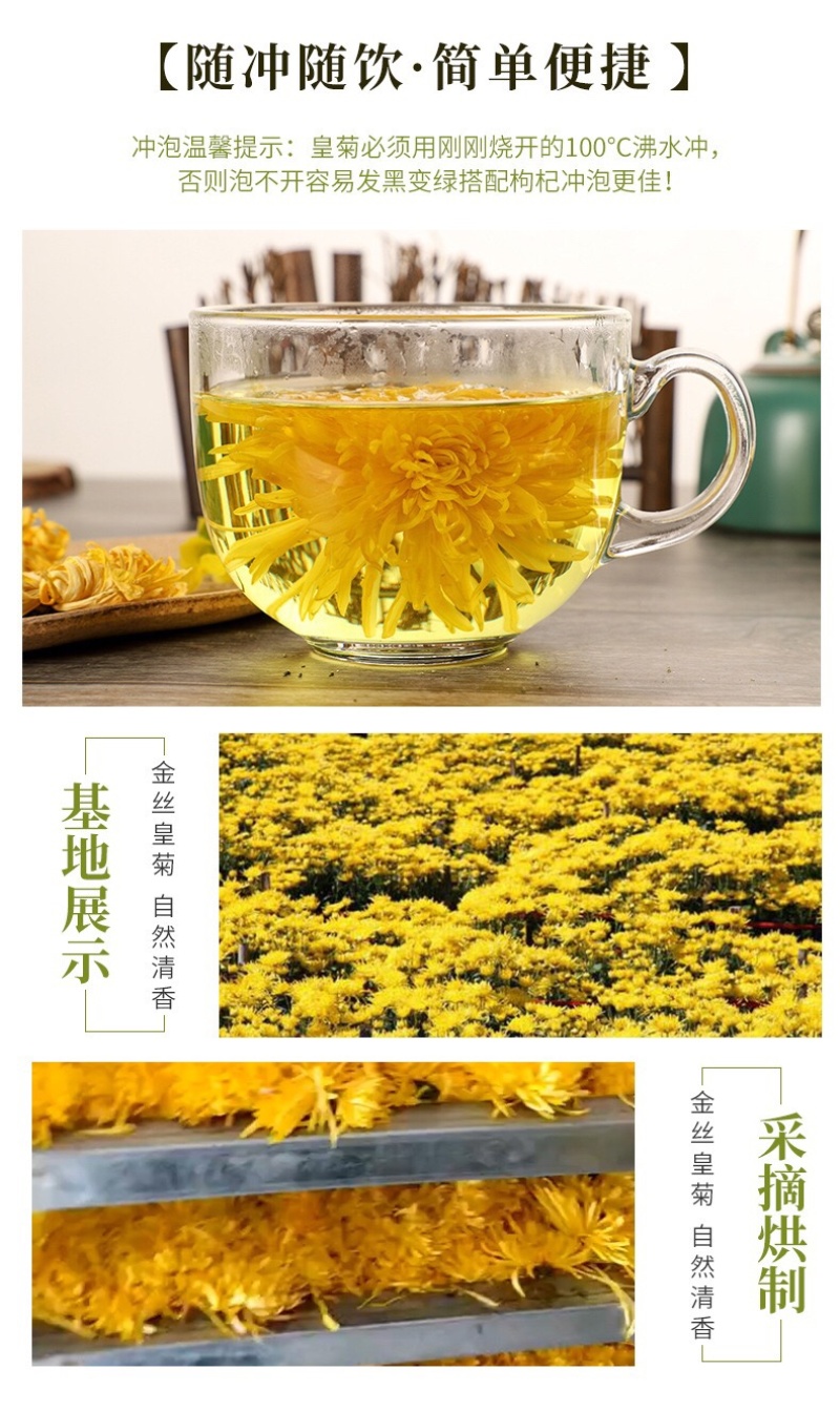 金丝菊批发一朵一杯留香花茶黄山金丝皇菊