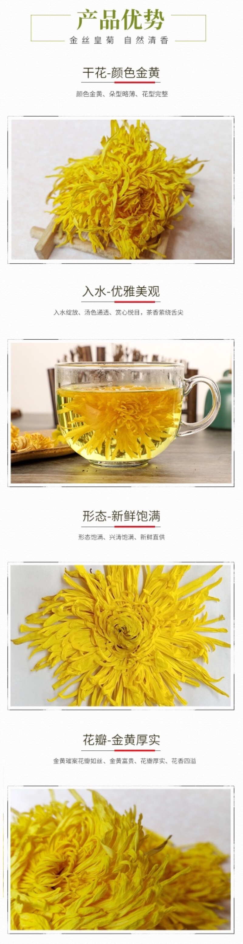 金丝菊批发一朵一杯留香花茶黄山金丝皇菊