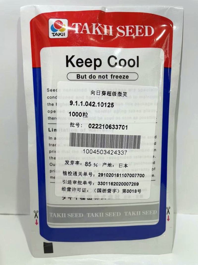 盆栽向日葵—超级微笑，日本坂田公司种子，原装进口，现货发