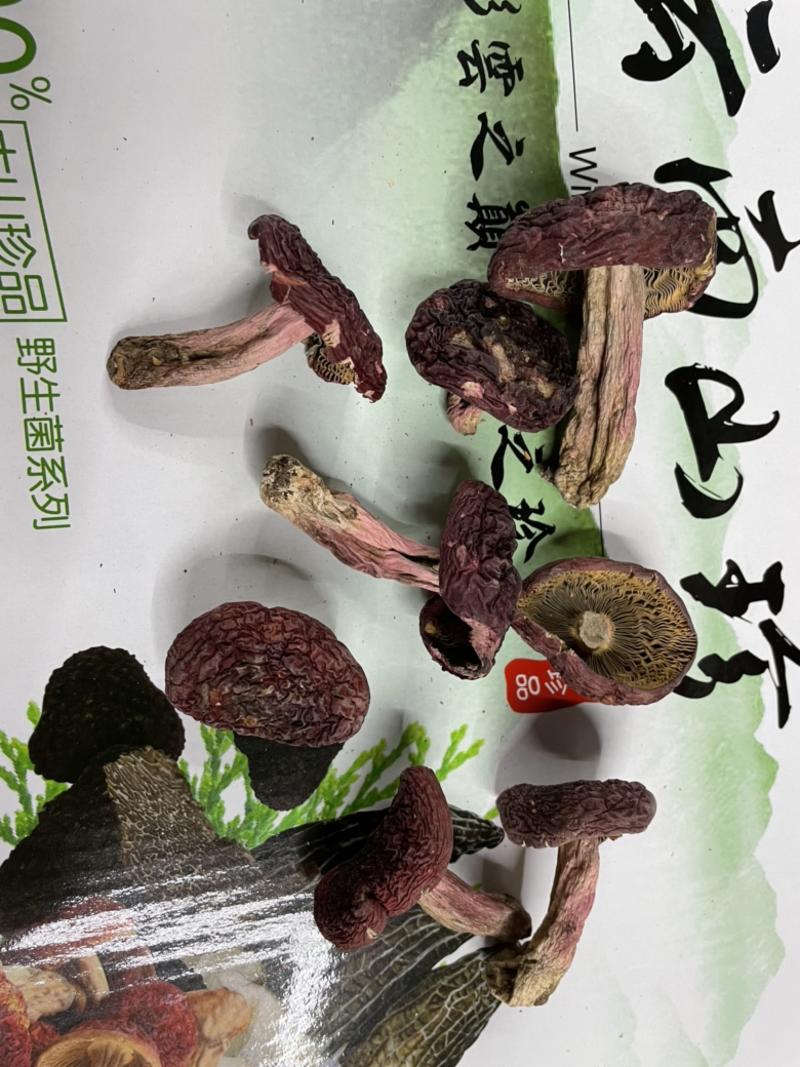 精挑红菇大标红菇云南野生红菇小叮菇食用菌红菇质量保证