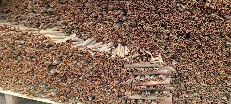【岭南肉桂】桂碎桂通桂板桂丝桂段平南地道产地批发