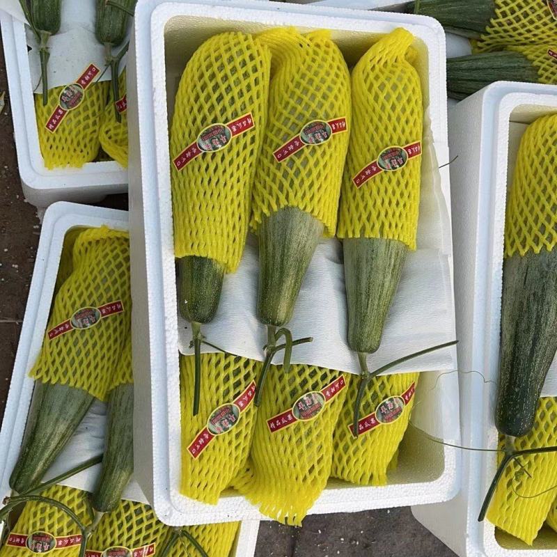 羊角蜜甜瓜，产地大量供应，保质保量，专业代办，代收代发全