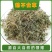 中药材鹅不食草野生新鲜干货5食胡荽鹅不食鹅