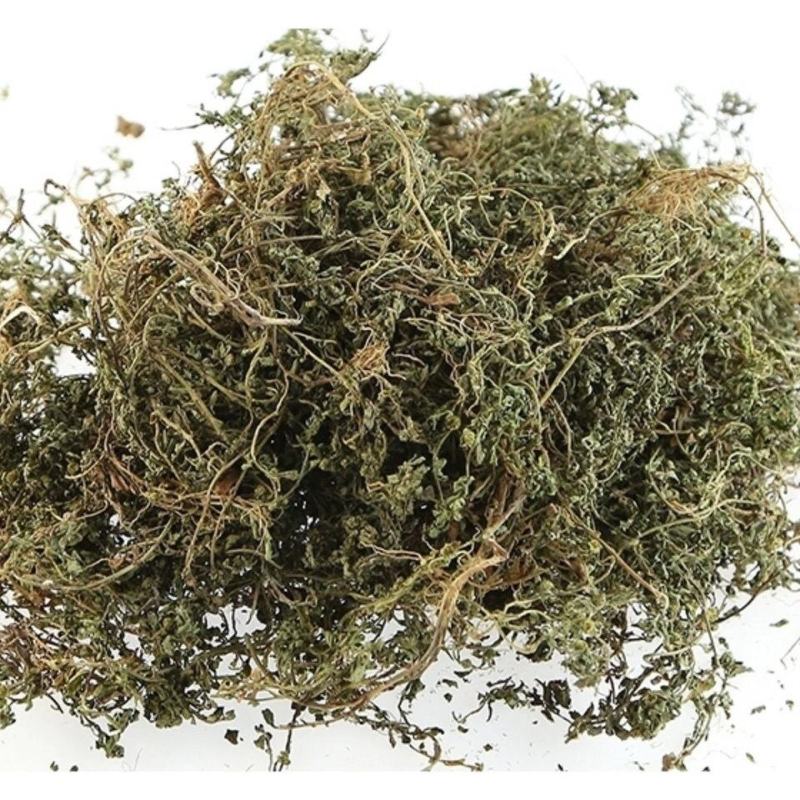 中药材鹅不食草野生新鲜干货5食胡荽鹅不食鹅