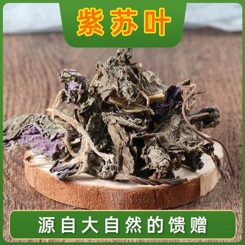 中药材野生苏叶正品紫苏叶梗新鲜干货泡茶