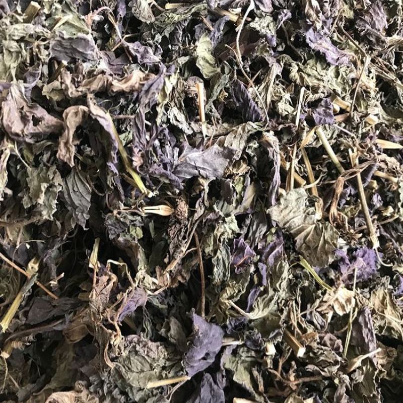 中药材野生苏叶正品紫苏叶梗新鲜干货泡茶