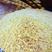 沙金金沙黄小米，一品金穗米，食之似五谷杂粮，人类美味主食