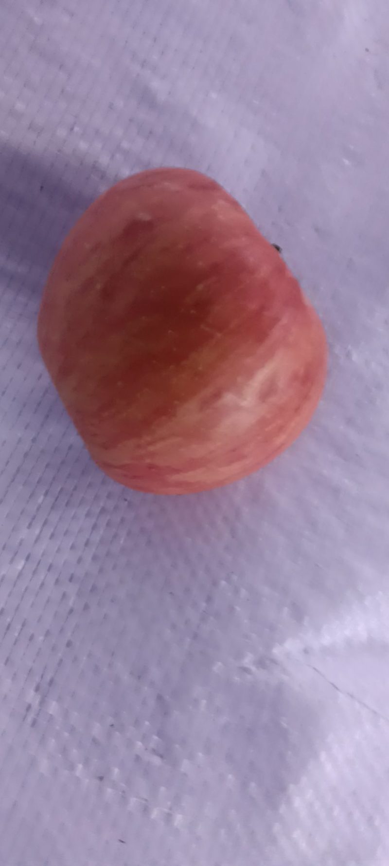 红富士苹果80mm以上纸+膜袋快递一件发货