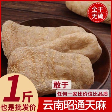 天麻天麻天麻天麻天麻天麻天麻天麻天麻天麻天麻天麻天麻天麻
