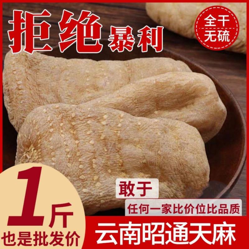 天麻天麻天麻天麻天麻天麻天麻天麻天麻天麻天麻天麻天麻天麻