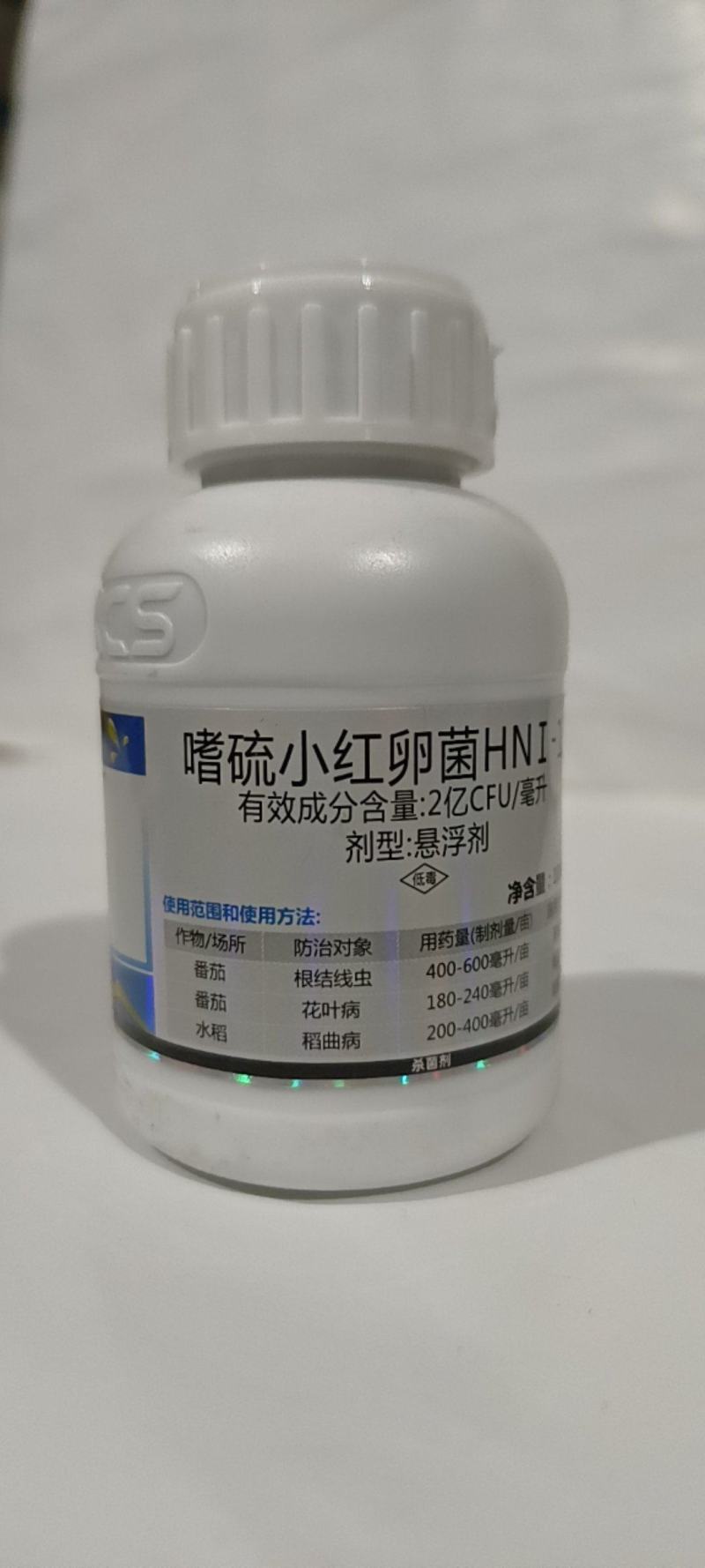 颜彩嗜硫小红卵菌能有效激活葱姜蒜韭菜内原让叶片增厚更浓绿