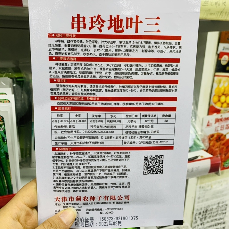 串玲地叶三水果黄瓜种子不用搭架子的水果黄瓜地黄瓜种子