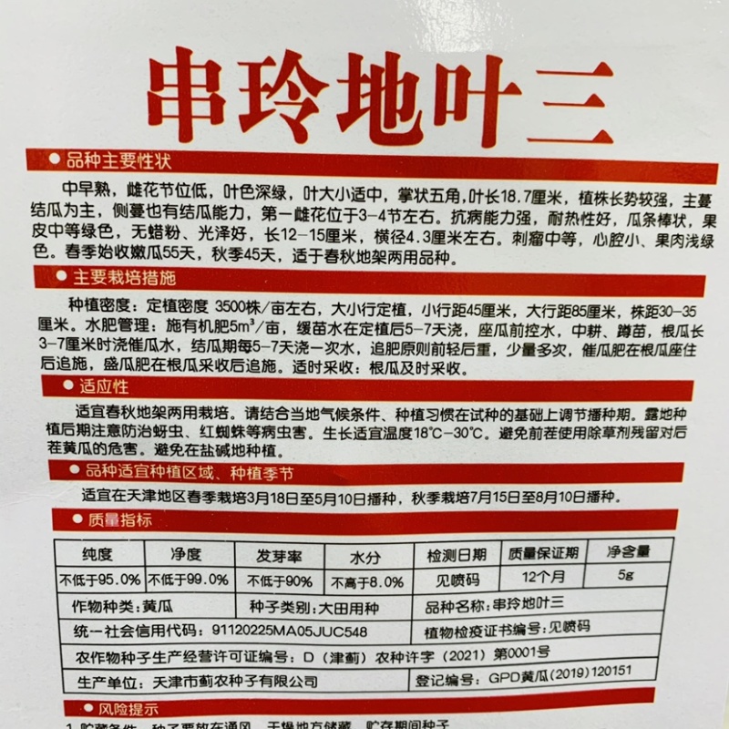 串玲地叶三水果黄瓜种子不用搭架子的水果黄瓜地黄瓜种子