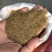 蒲公英籽,产地直供,质优价实,品质保证,药典标准道地良药