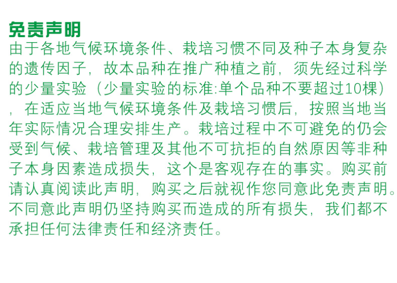 黑心菊种子金光菊花籽多年生耐寒宿根花卉四季易活庭院春秋播
