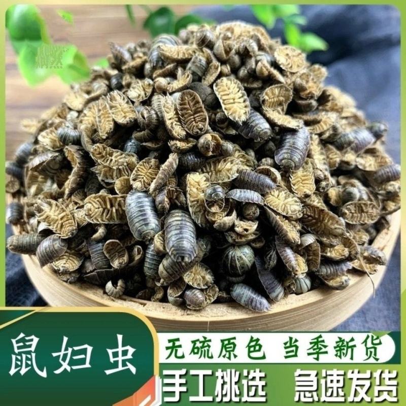 鼠妇虫，道地药材，质优价实，品质保证，药典标准，一公斤起