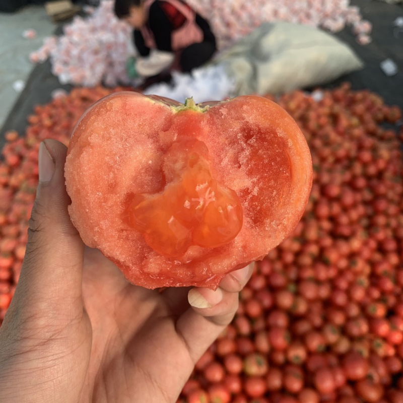 海阳正宗普罗旺斯西红柿，皮薄，起沙带籽。