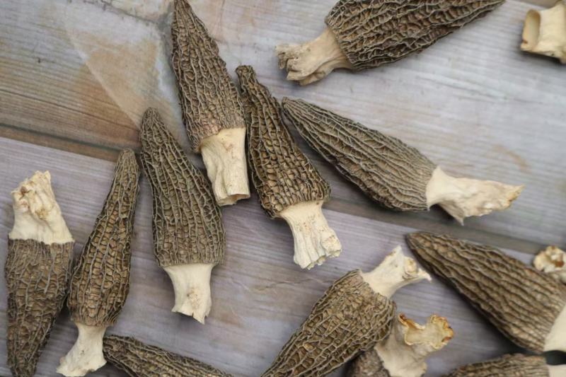 大号特特级厚肉羊肚菌颜色全黑个个饱满形状肥干度足干均匀