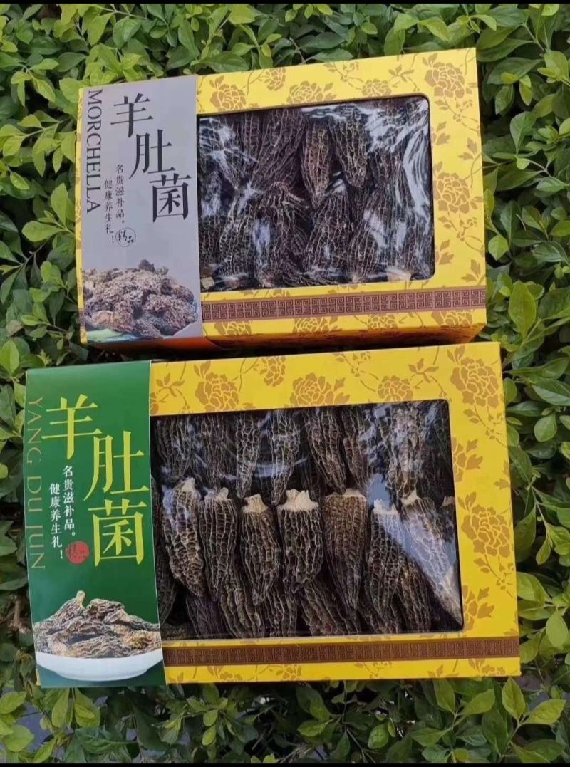 羊肚菌干品云南干羊肚菌产地批发一件代发包邮