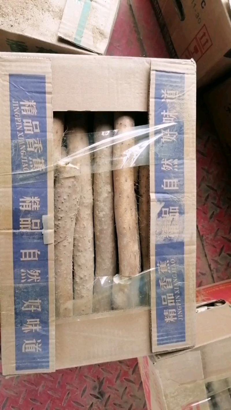 山药短节，诚信经营！超低价格，欢迎商超电商团购老板联系！