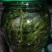 散装香椿芽，美食，嫩香椿，腌制香椿，袋装。。。。。。。