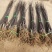 基地出售新2001苹果苗嫁接成品苗