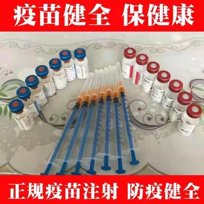 纯种杜宾犬赛级双血统警犬美系护卫犬军犬看家护院德系