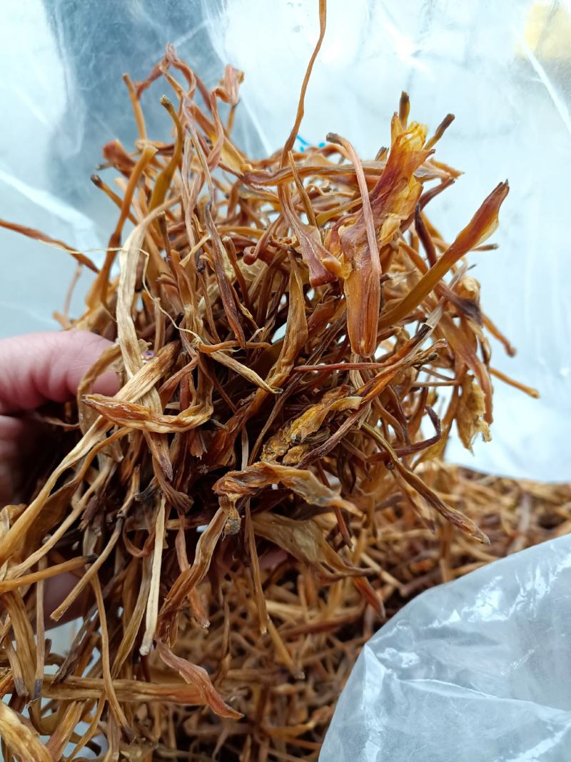 黄花莱野生批发零售菜口感好大山釆摘一手货源产地直发