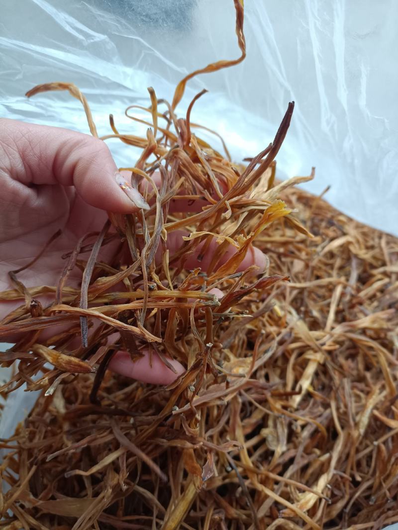 黄花莱野生批发零售菜口感好大山釆摘一手货源产地直发