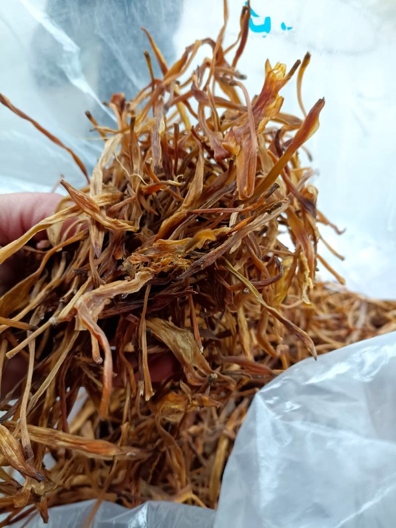 黄花莱野生批发零售菜口感好大山釆摘一手货源产地直发