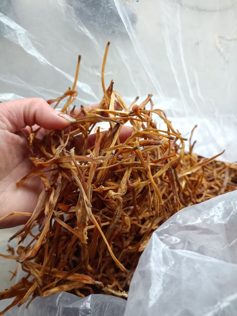 黄花莱野生批发零售菜口感好大山釆摘一手货源产地直发