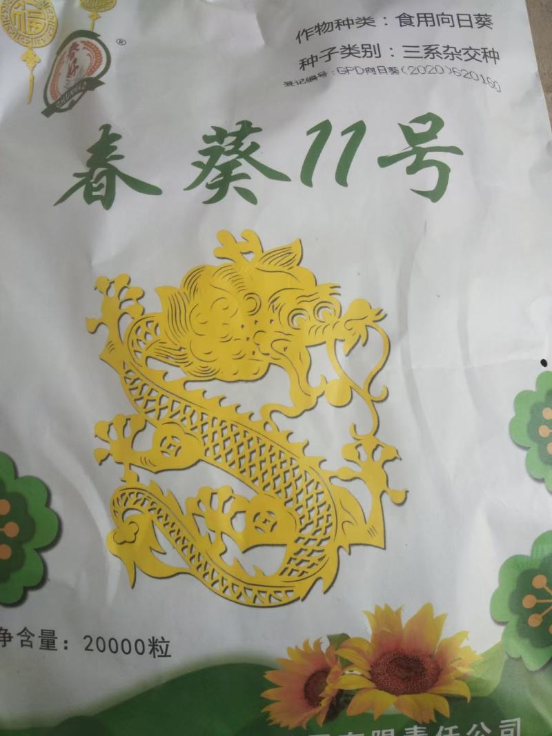 向日葵
