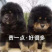 藏獒幼犬宠物活体真狗幼犬巨型犬
