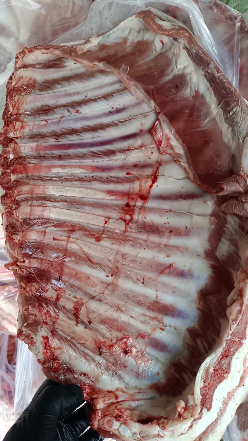 烧烤羔羊排厂家直销保质保量一手货源常年供应