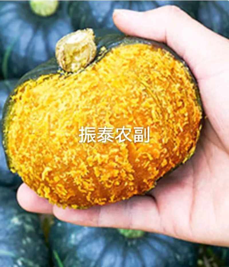 贝贝南瓜