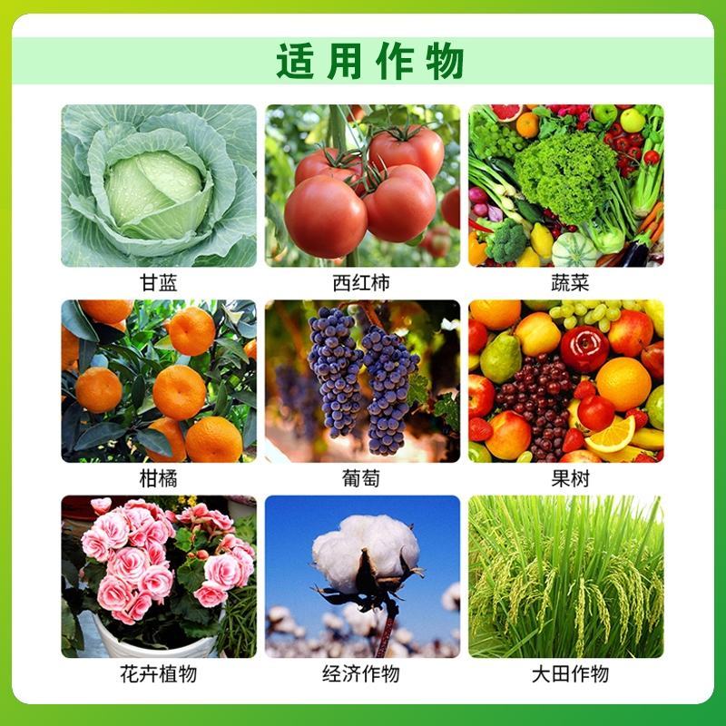 绿亨50%氯溴异氰尿酸真菌细菌病毒黑果病叶枯病杀