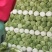 地窖大白菜无农药残留纯绿色食品产地直销欢迎合作