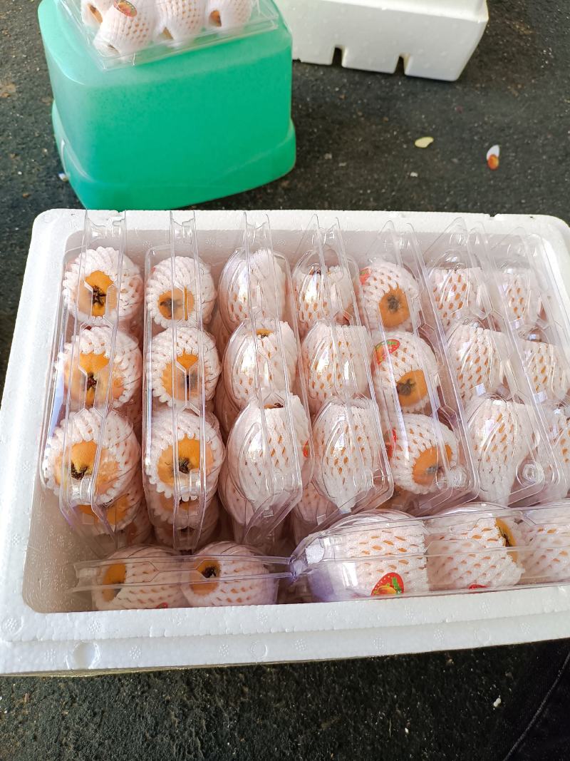 云南蒙自枇杷，甜度高，品质好、代收的老板请联系！