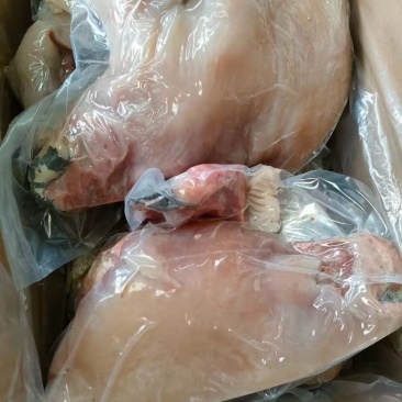 水采毛熟牛头肉，去淋巴，去鼻头硬皮，质量保证价格低