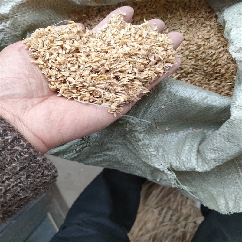 稻壳厂家大量供应稻壳高粱壳除尘稻壳