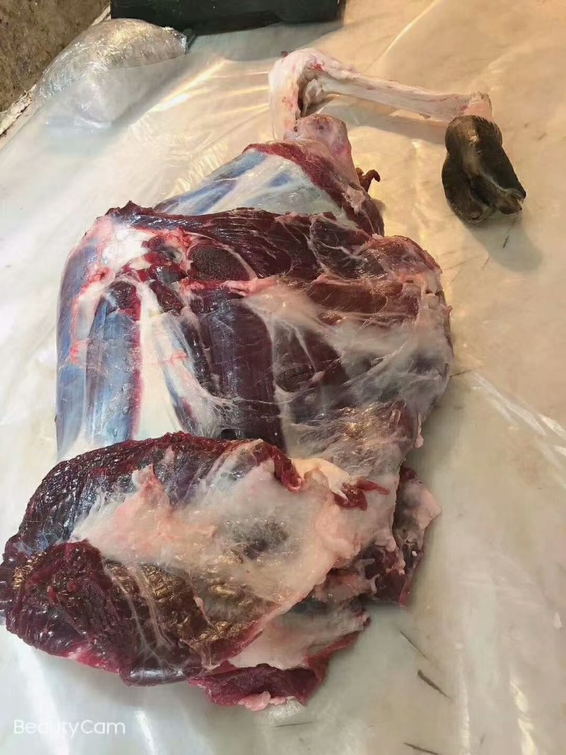 新鲜梅花鹿肉价格优惠！厂家直销，大量供应！全国包邮！