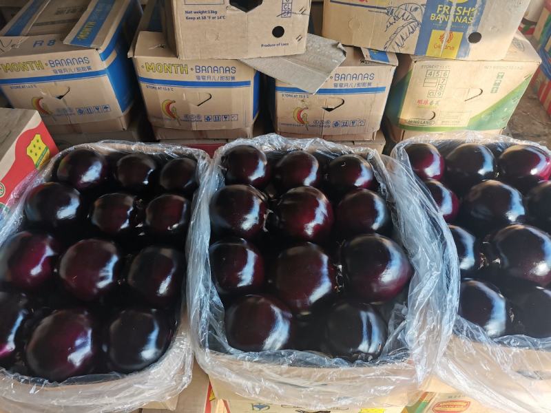 圆茄子，颜色又黑又亮，个头大，形状好，价格便宜质量有保证