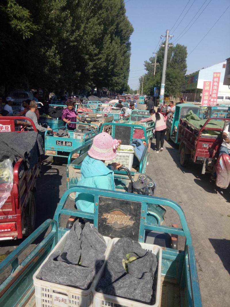 羊角蜜甜瓜0.5斤以上，产地直供，一手货源充足，先品尝