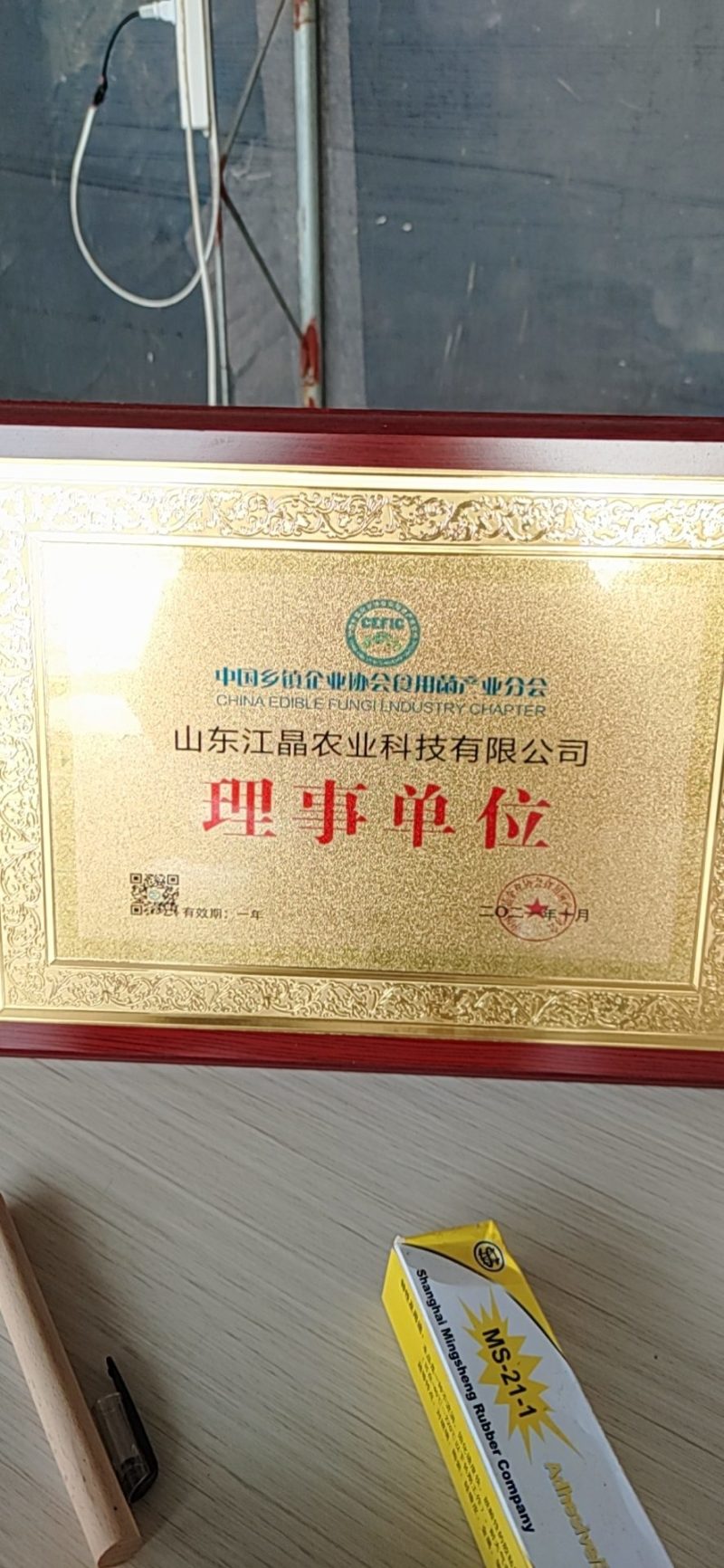 液体菌种接种的平菇菌种，菌龄超短活力最强，相当于原种级别