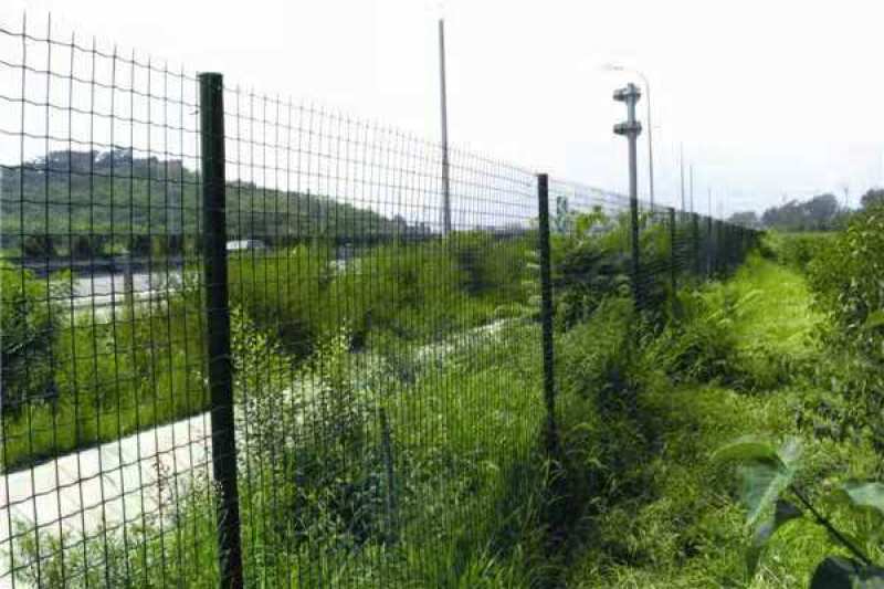 金属立柱荷兰网金属围栏柱养殖园果园立柱桩