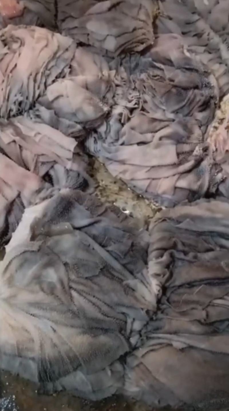 纯鲜毛肚鲜百叶屠宰出来的有泡水干货只卖给商用懂货懂行的来