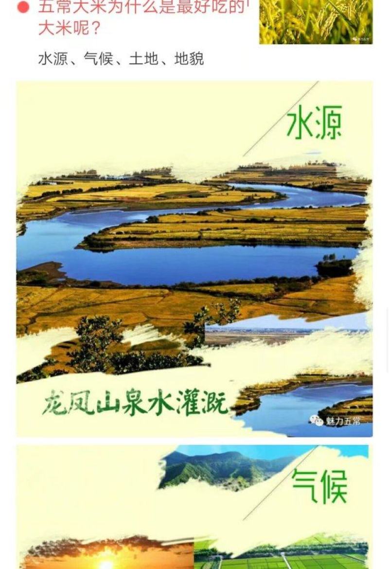自产自销五常英双水稻种植专业合作社五常基地核心稻花香大米
